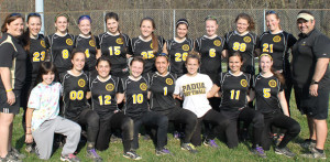Softball Fever