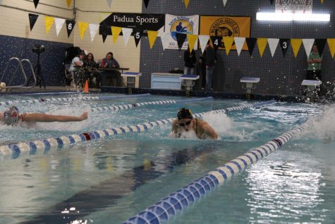 Athlete Profile: Lauren Mottel