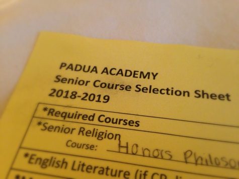 The Hectic Weeks of Course Selections
