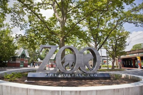 An A to Z Tour of the Philadelphia Zoo