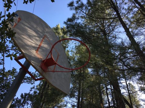 Balancing Student Athletics with Academics