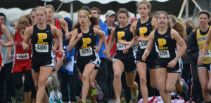 2013 Cross Country Preview