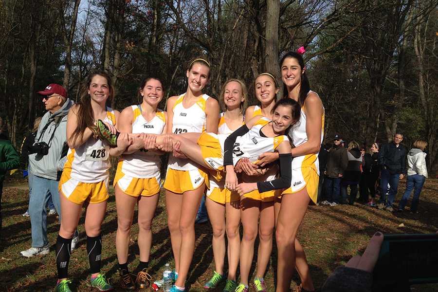Cross Country Wins State Meet