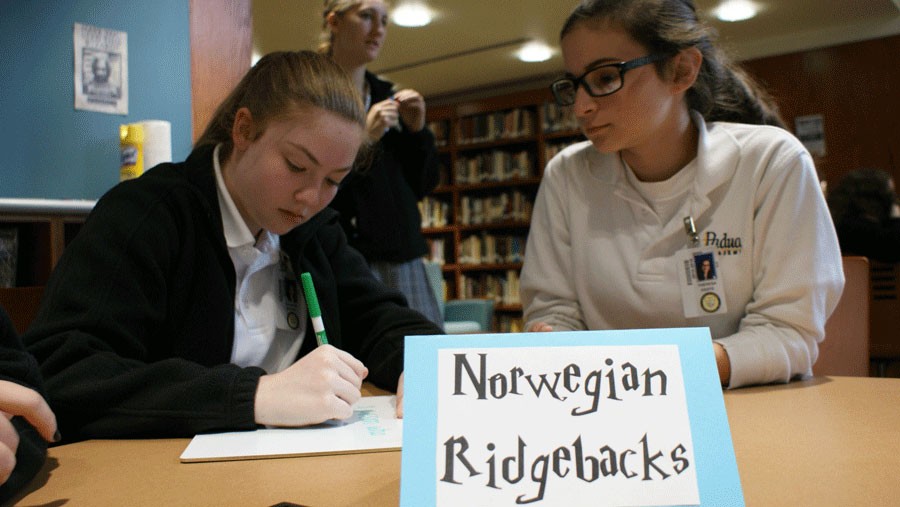 Sophomores Theresa Keefe and Shannon Murray of the Norwegian Ridgebacks with Rachel Mazzeo (not pictured) work together to write down their answer before time runs out. 