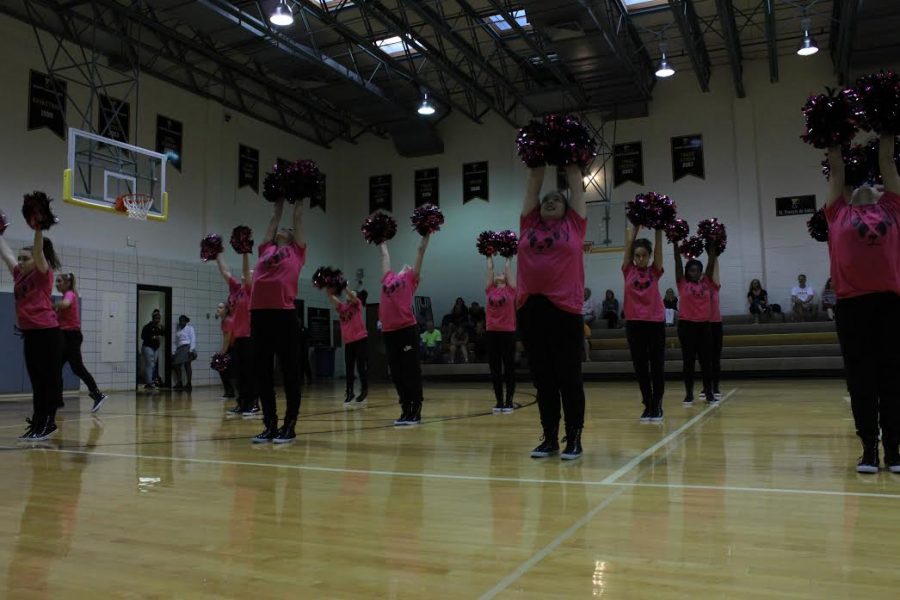 Paduas Dance Team performs during a spirit assembly.