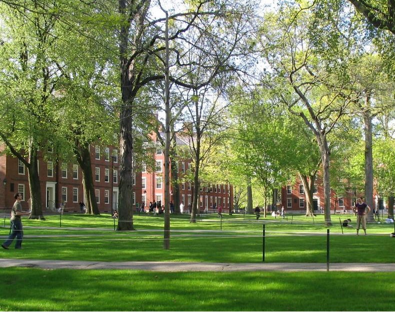 A picture of Harvard Yard. 