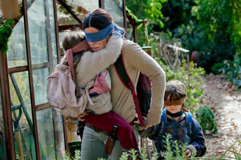 Bird Box Challenge Results in Injuries