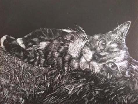 Rebecca Gao: Astounding Artist