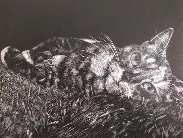 Shelly
Gaos scratchboard of a cat that was awarded the Gold Key and an American Vision nomination