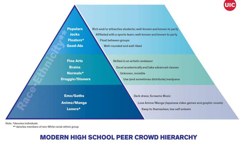 This chart was produced by the study to show their findings. It separated the groups into a hierarchy with 3 sections.
