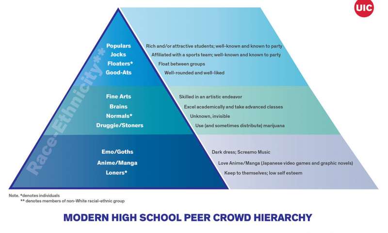 This+chart+was+produced+by+the+study+to+show+their+findings.+It+separated+the+groups+into+a+hierarchy+with+3+sections.