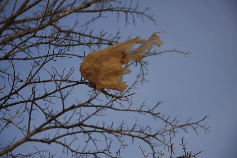 Plastic Bag Ban Coming to Delaware in 2021?