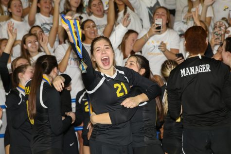 Volleyball Victory
