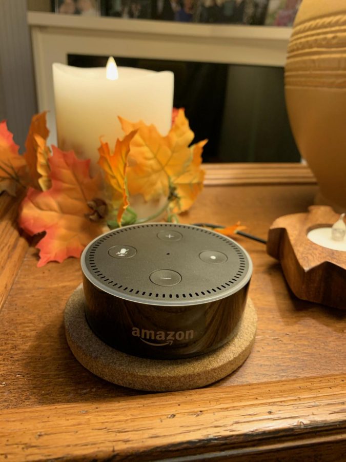 The Amazon Alexa speaker.