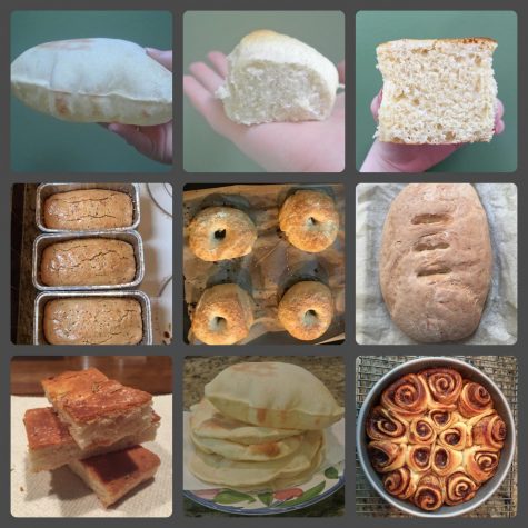 Images of some of the recipes I’ve made using my yeast. Beginning with the top left image, I have made pita bread, rolls, kolaches (Polish danishes), Easter Bread (anise-flavored sweet bread), bagels, Italian bread, focaccia bread, more pita, and cinnamon rolls.