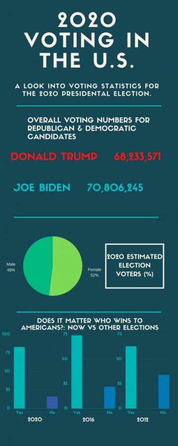 2020 Voting Statistics including voting numbers and demographics for Americans who voted.