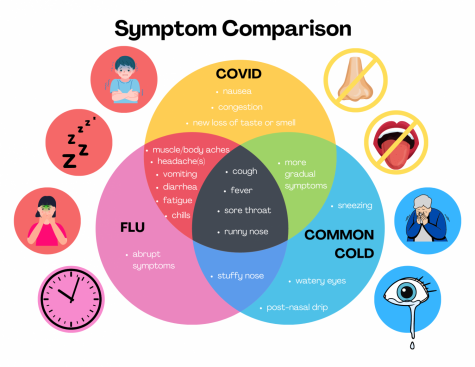 COVID, flu, and cold symptoms can appear to be very similar; however there are key differences that can help differentiate the three. McCarthy said to follow health and safety guidelines in order to prevent disease.